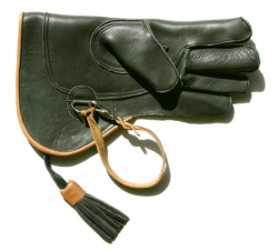 Falconry Gloves